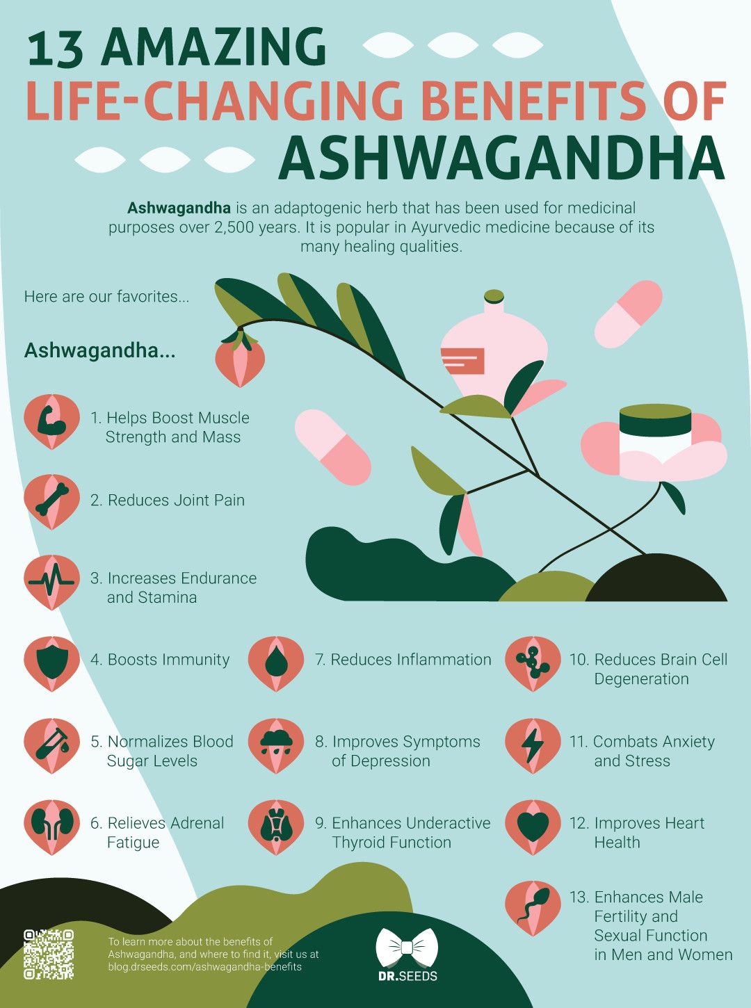 13 Life Changing Benefits of Ashwagandha including supports lean muscle development, balancing hormones, reducing depression and stress and more.