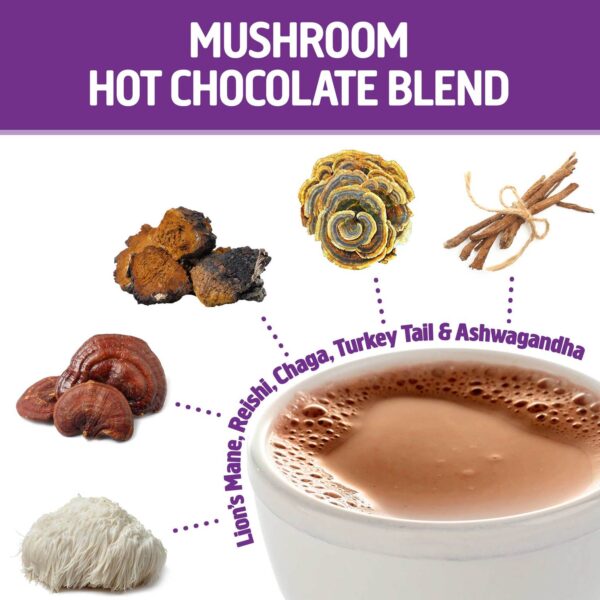 Om Mushroom Superfood Organic Hot Chocolate delivers superfood mushrooms Lion's Mane, Reishi, Chaga, and Turkey Tail plus adaptogenic herb Ashwagandha to balance the nervous system, boost immunity, lower inflammation, improve mental clarity and focus, and enhance overall health.