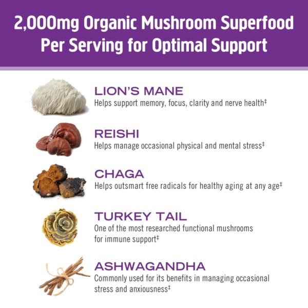 Om Mushroom Superfood Organic Hot Chocolate image with list of all five superfood ingredients Lion's Mane, Reishi, Chaga, Turkey Tail, and Ashwagandha which together support brain health, mental focus, clarity and nervous system health; provide antioxidants; lower inflammation; boost immunity; combat fatigue; support anti-aging for healthy youthful body from the inside out; and help to lower stress, anxiety and their negative effects so you feel healthier, more calm and energetic year round.